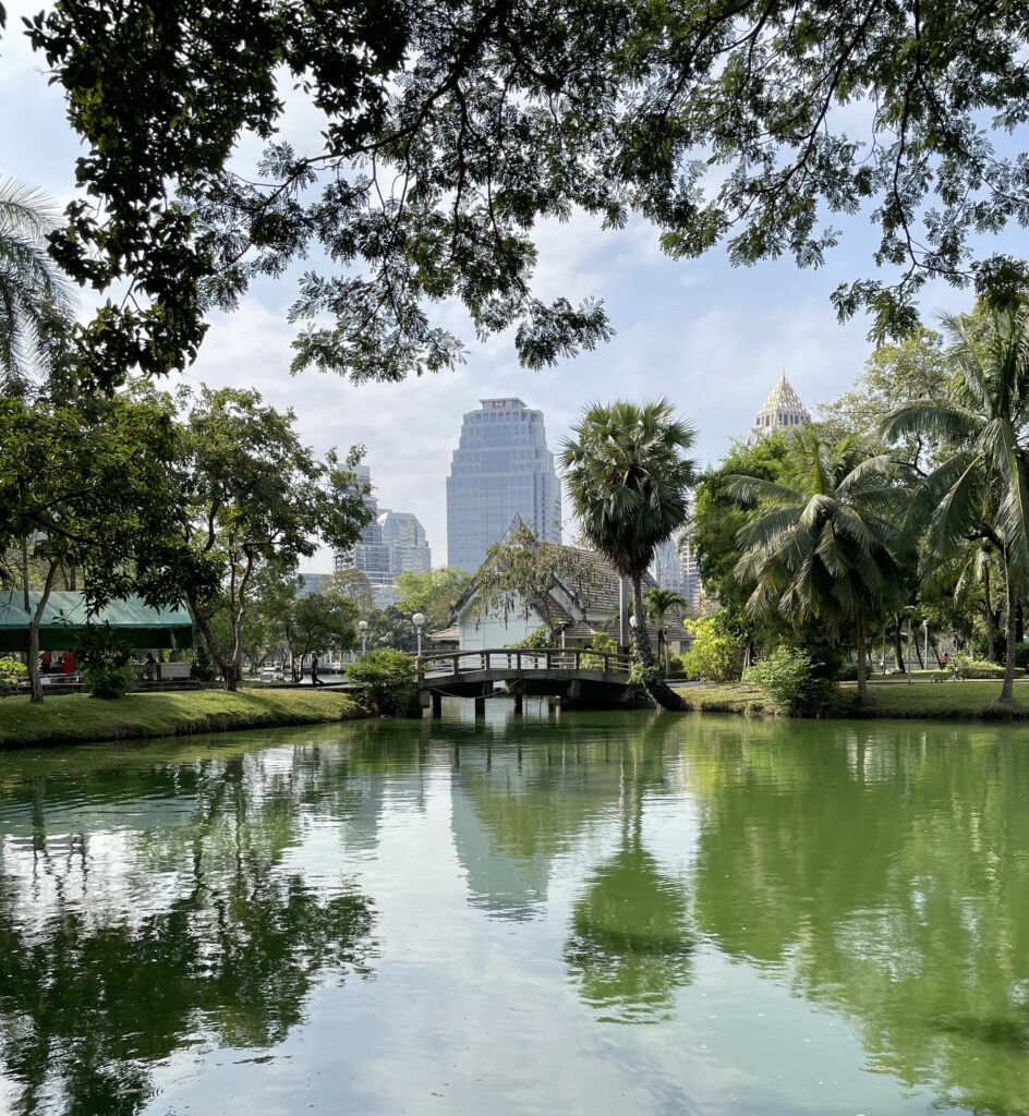 a pond amongst many tropical trees at Lumphini Park in Bangkok, known as Bangkok's largest city park