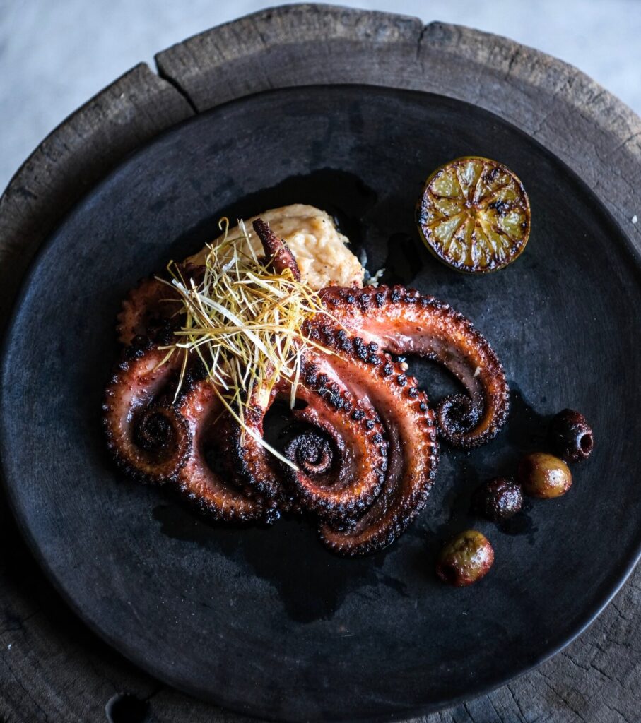 a perfectly grilled octopus being served at Tu Mexican Cuisine Restaurant in Tulum 