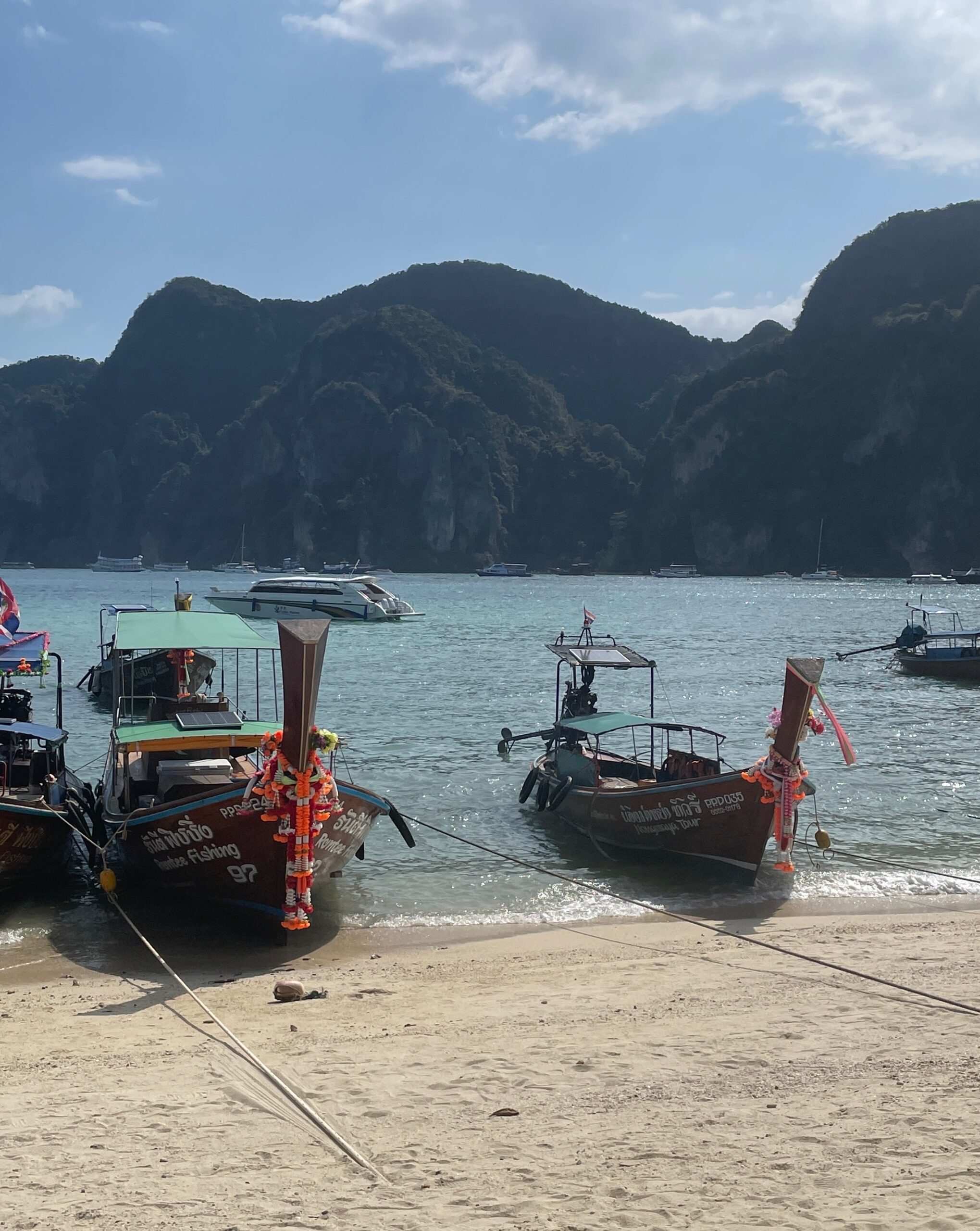 long tail boats docked along the shores in Phi Phi Don on a sunny day