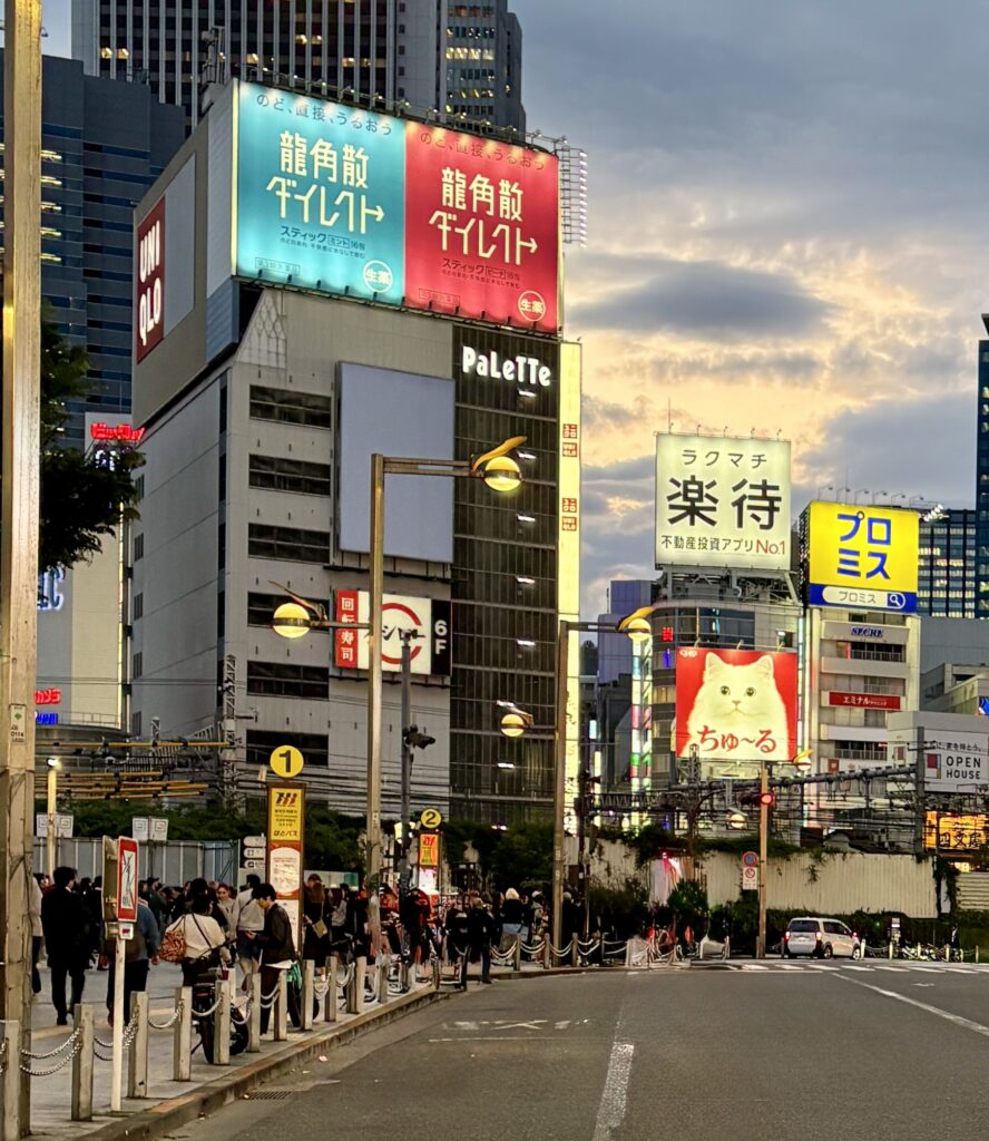 Bustling Shinjuku street at sunset with visible Japanese signage and a warm evening glow, reflecting the district’s dynamic yet everyday Tokyo vibe