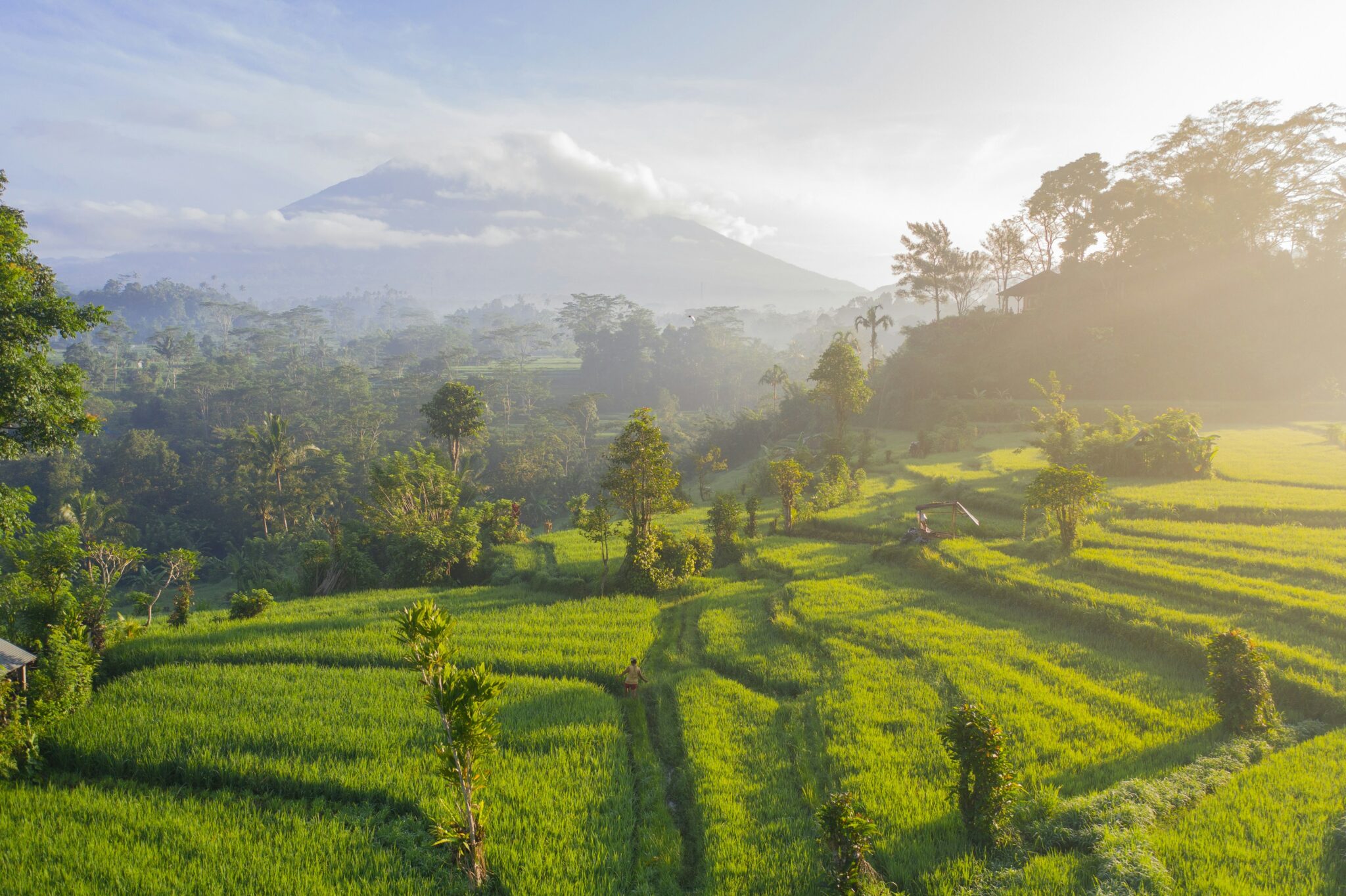 29 Must Do Things In Bali: Ultimate Bucket List | Travel Hiatus