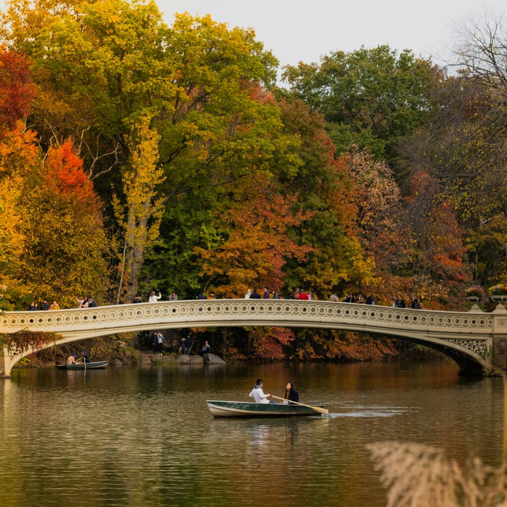Stunning autumn scene in Central Park, New York City, with colorful fall leaves and a couple rowing a boat on the lake.