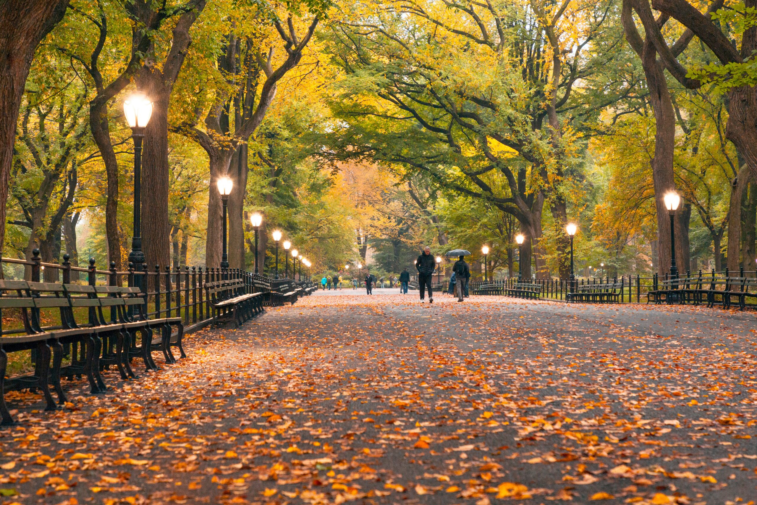 Best Time to Visit NYC: Month-by-Month Guide