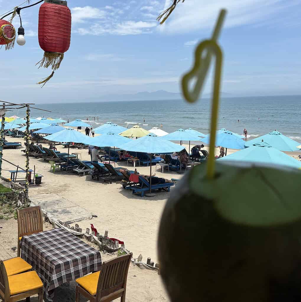 hoi an beach coconut view mountains