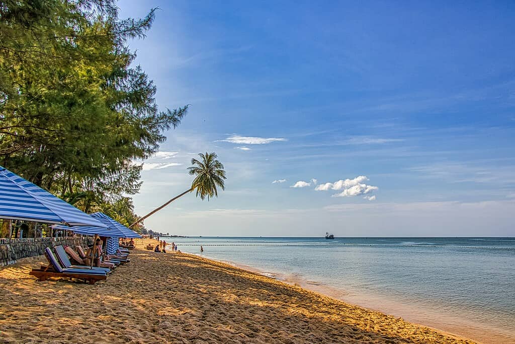 Tourists relaxing on beach loungers beneath a large palm tree bending toward the sea on a sunny beach day in Phu Quoc.