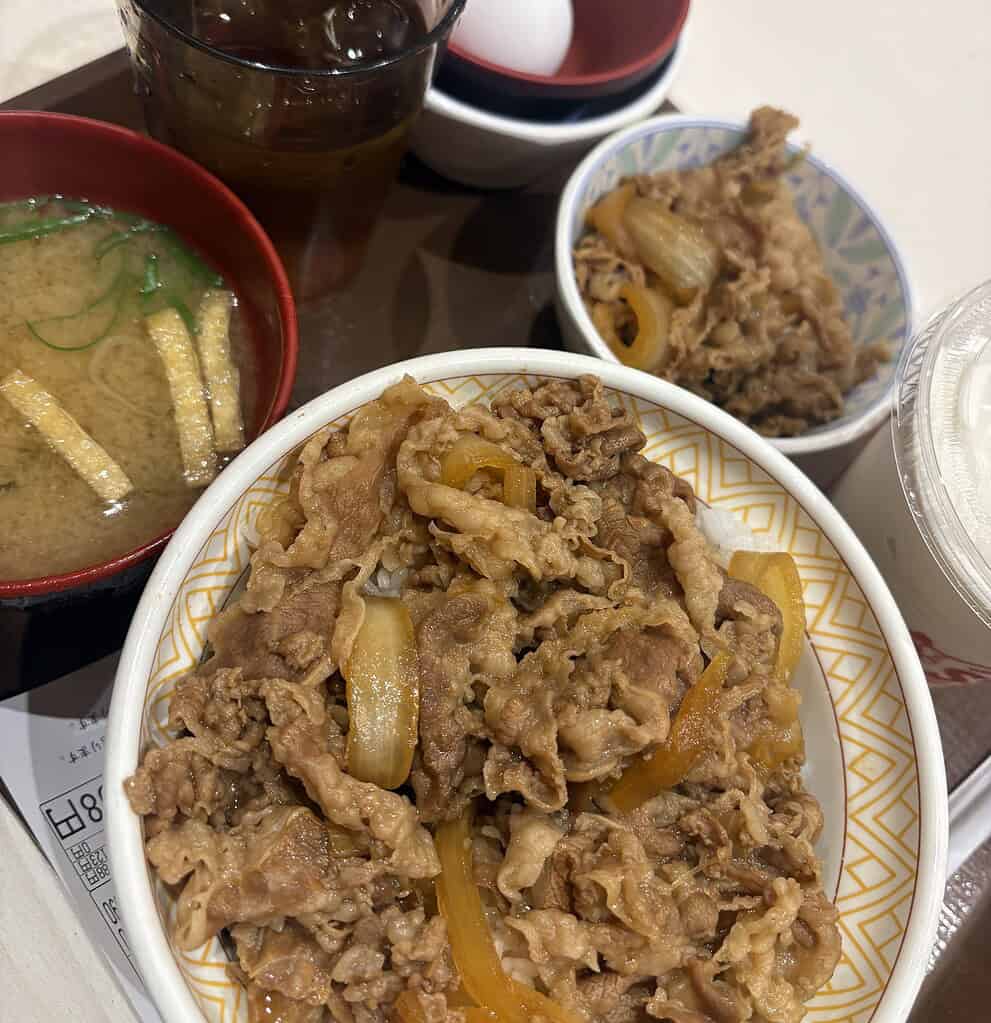 a Japanese beef gyudon rice bowl