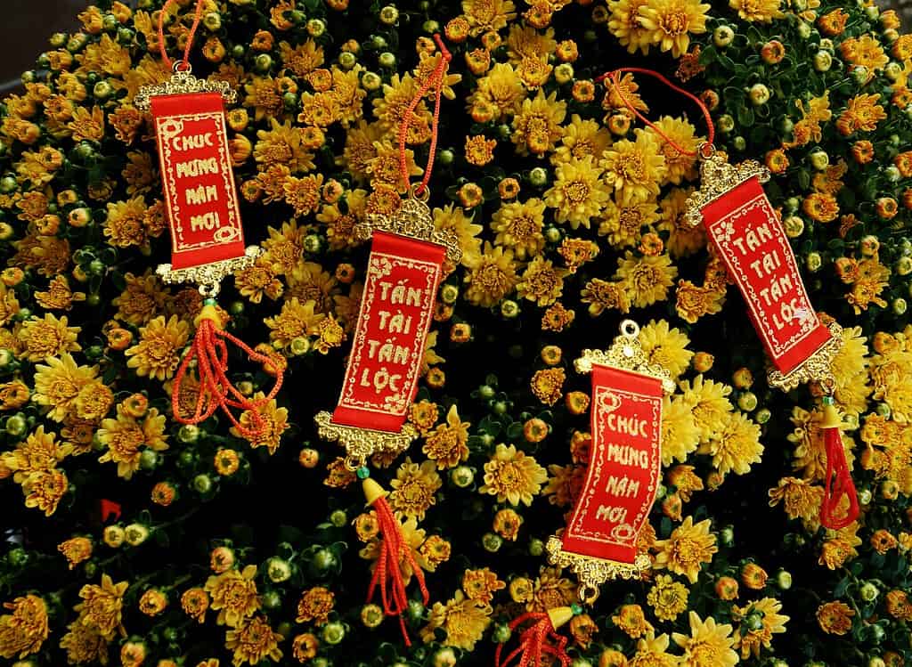 classic Tet red envelopes 