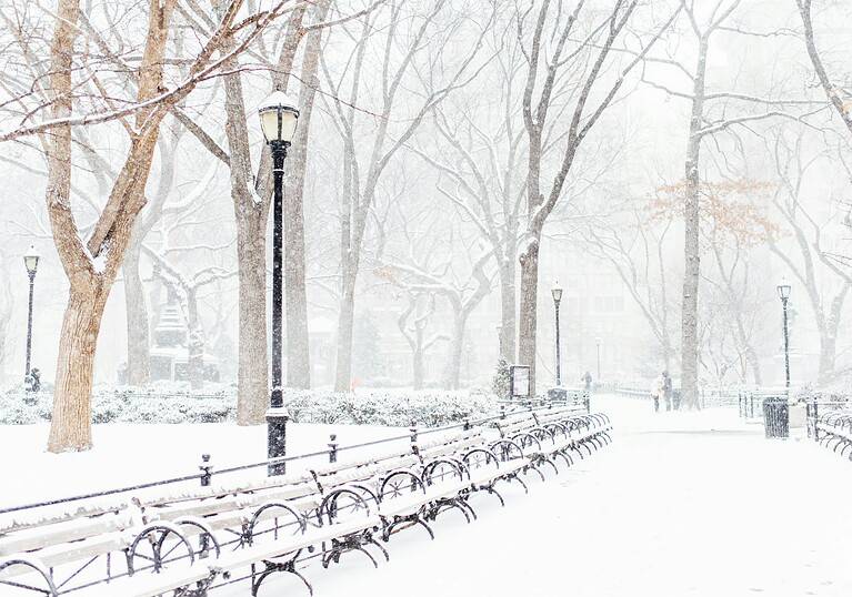 a very snowy path in Central Park during February in NYC